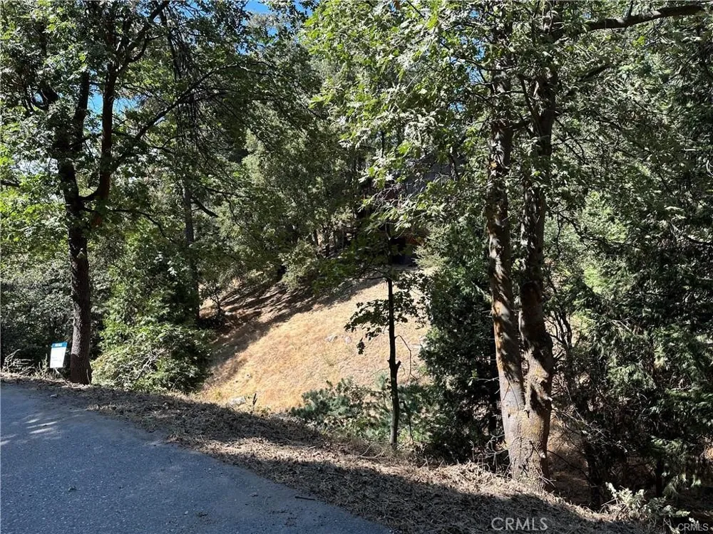 24960 Saxon Drive Crestline, CA 92325