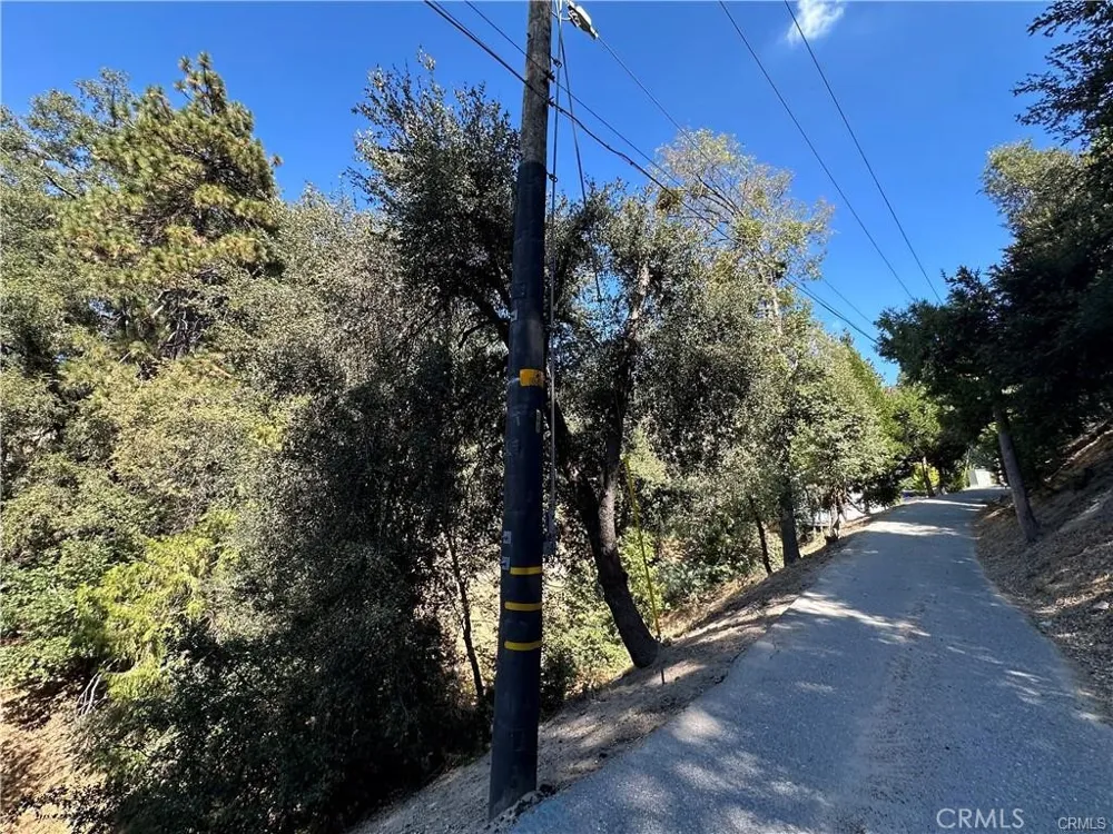 24960 Saxon Drive Crestline, CA 92325