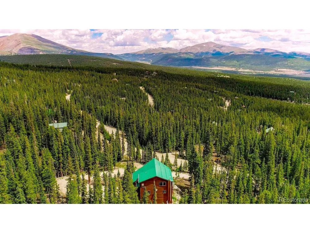 137 Porcupine Road Fairplay, CO 80440
