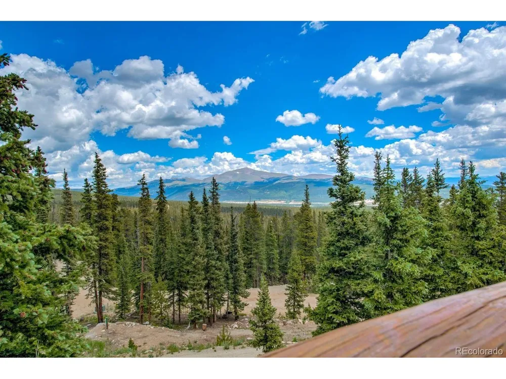 137 Porcupine Road Fairplay, CO 80440