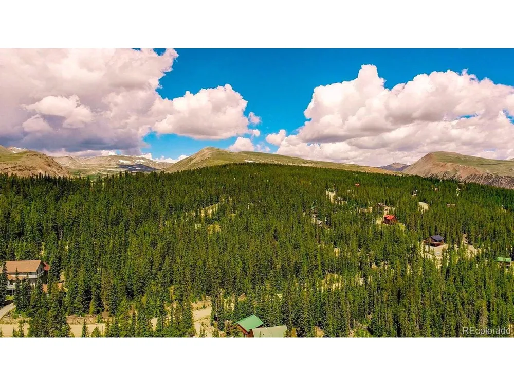 137 Porcupine Road Fairplay, CO 80440