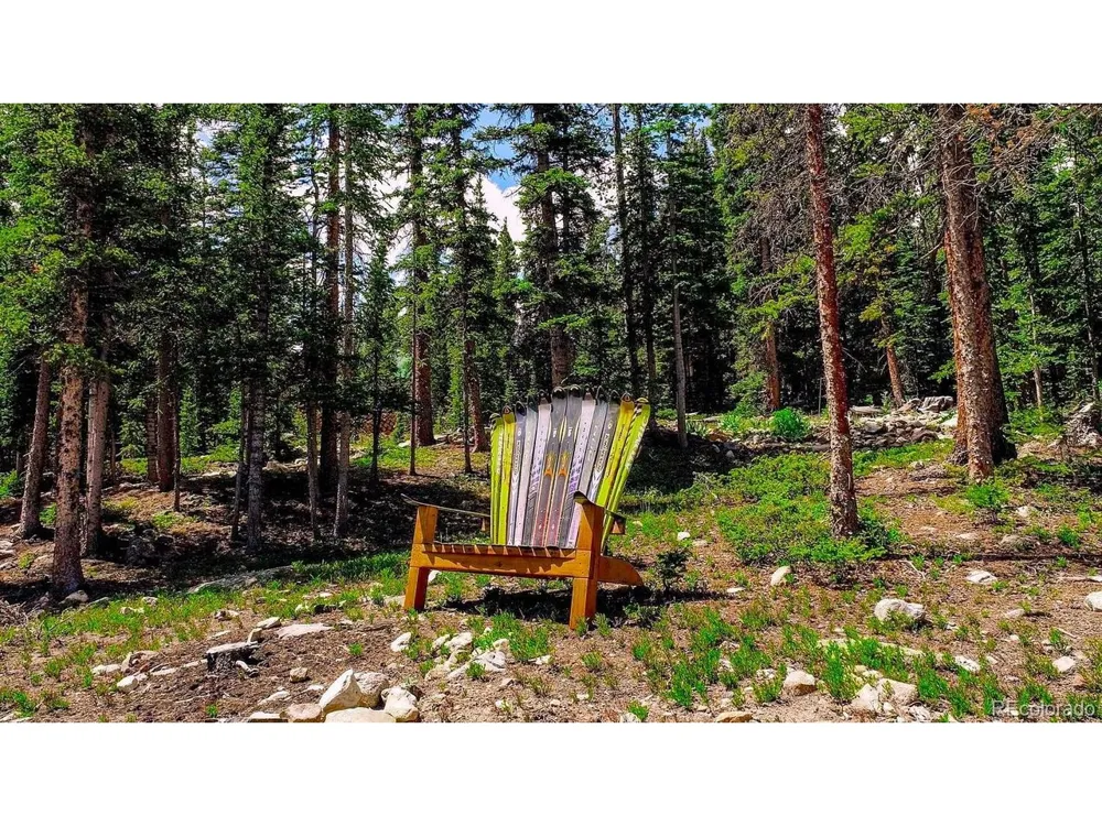 137 Porcupine Road Fairplay, CO 80440
