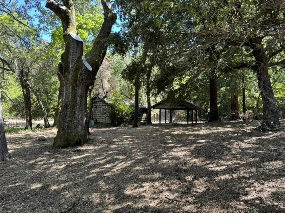 245 Bonita Road Portola Valley, CA 94028