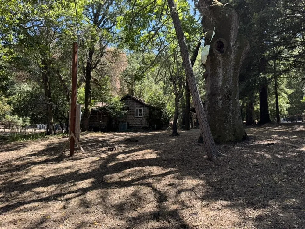 245 Bonita Road Portola Valley, CA 94028