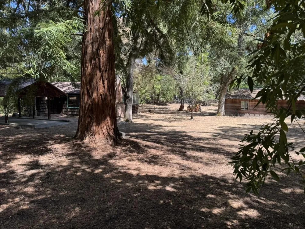 245 Bonita Road Portola Valley, CA 94028