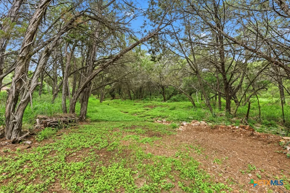 51 Hunters Point Drive New Braunfels, TX 78132