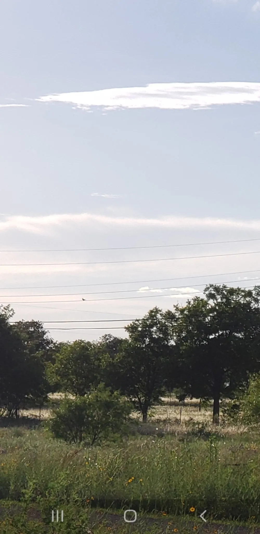 County Road 183 Road Bangs, TX 76823