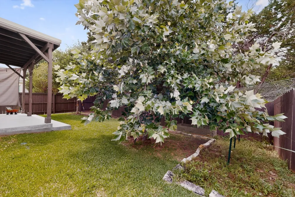 601 C-Bar Ranch Trail #55 Cedar Park, TX 78613