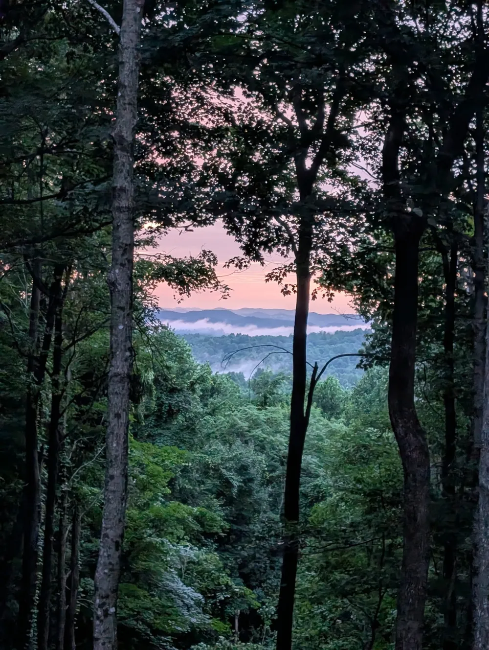 260 Tranquility Ln Liberty, TN 37095