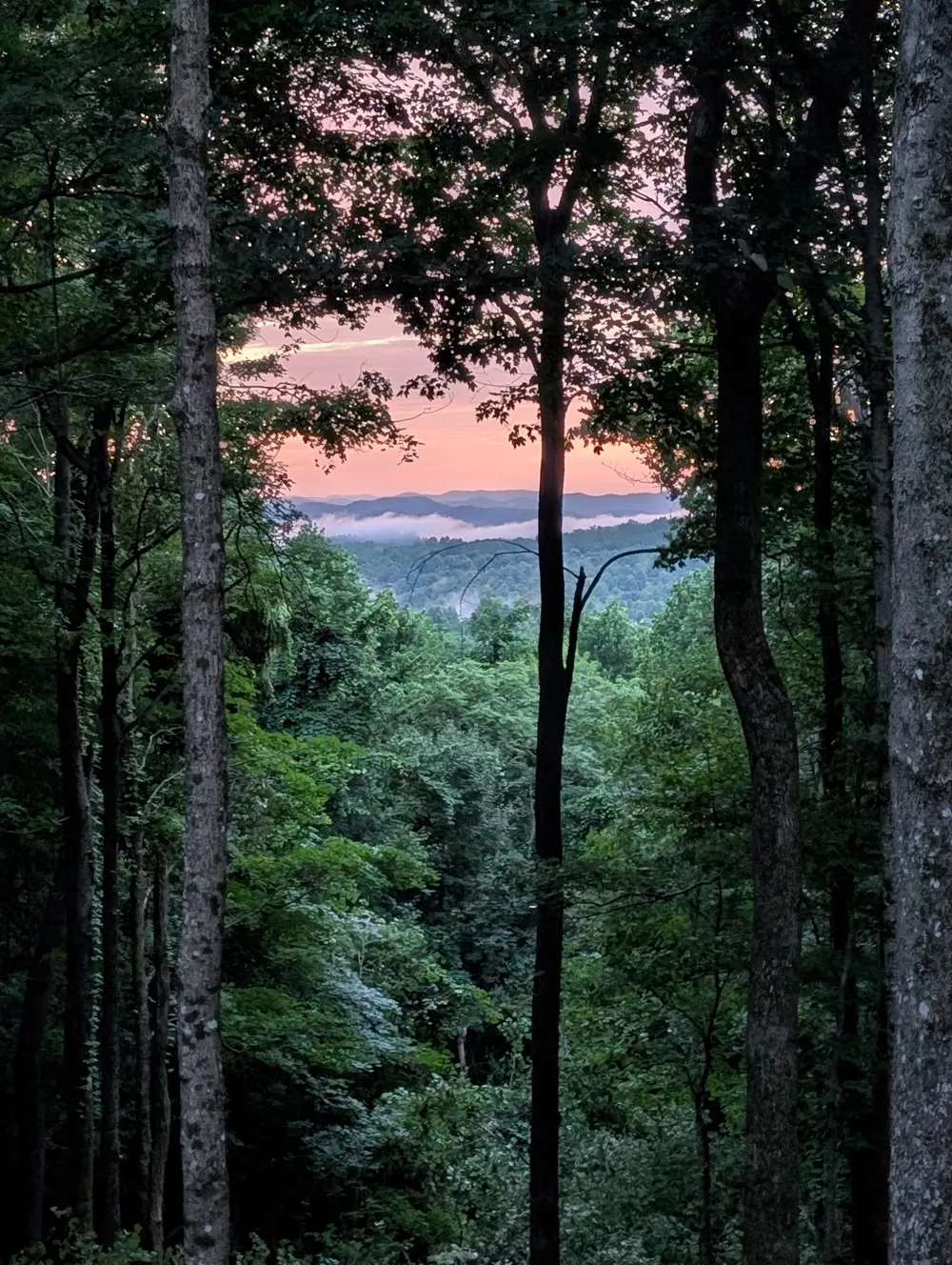 260 Tranquility Ln Liberty, TN 37095
