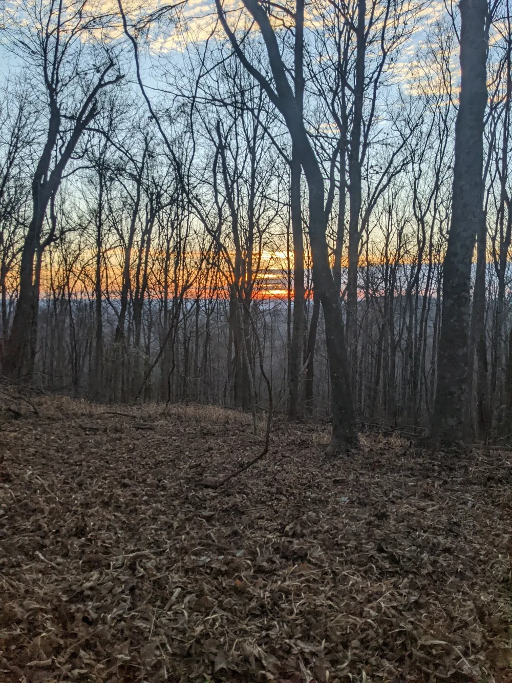 260 Tranquility Ln Liberty, TN 37095