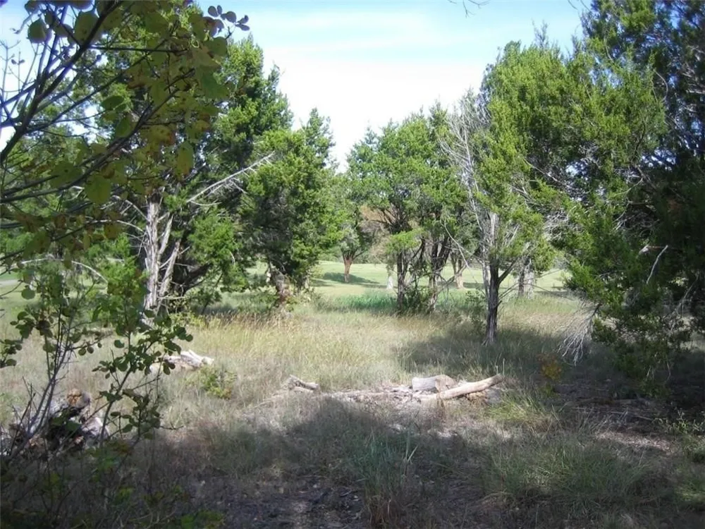 6216 Aberdeen Drive Cleburne, TX 76033
