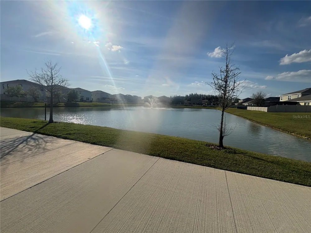32762 PEZ LANDING LANE Wesley Chapel, FL 33543