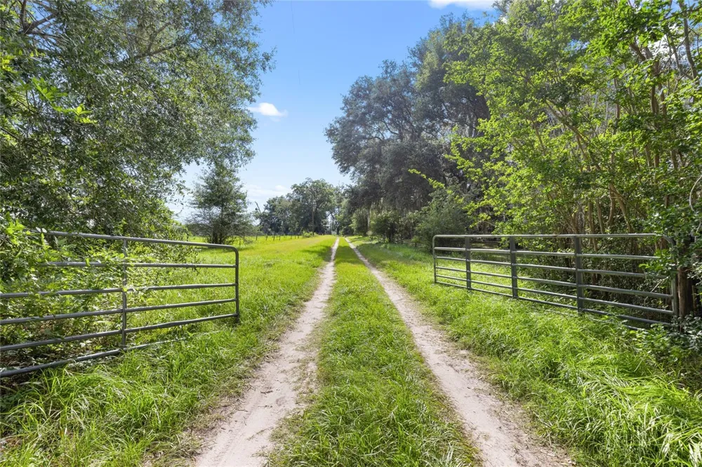 8250 WAUKEENAH HIGHWAY Monticello, FL 32344