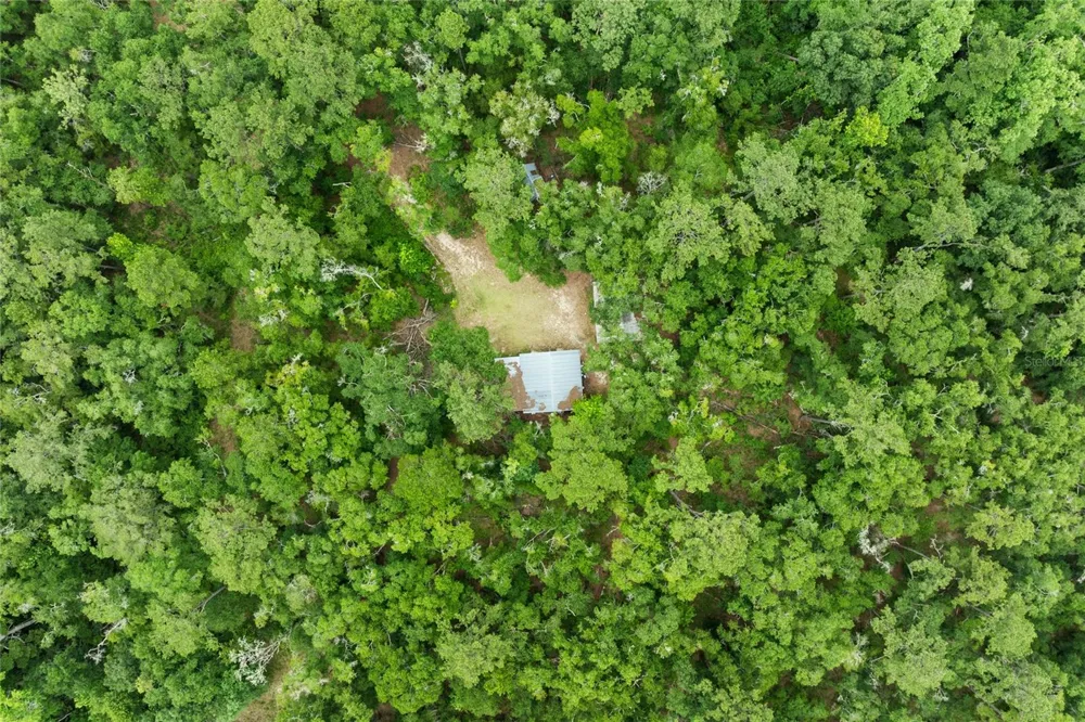 8250 WAUKEENAH HIGHWAY Monticello, FL 32344