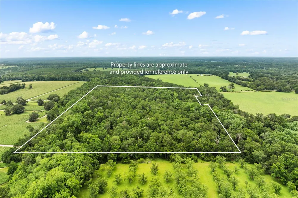 8250 WAUKEENAH HIGHWAY Monticello, FL 32344