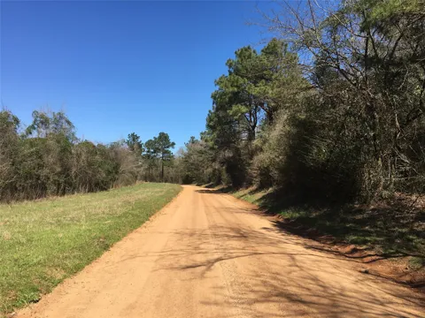 11 County Road 175