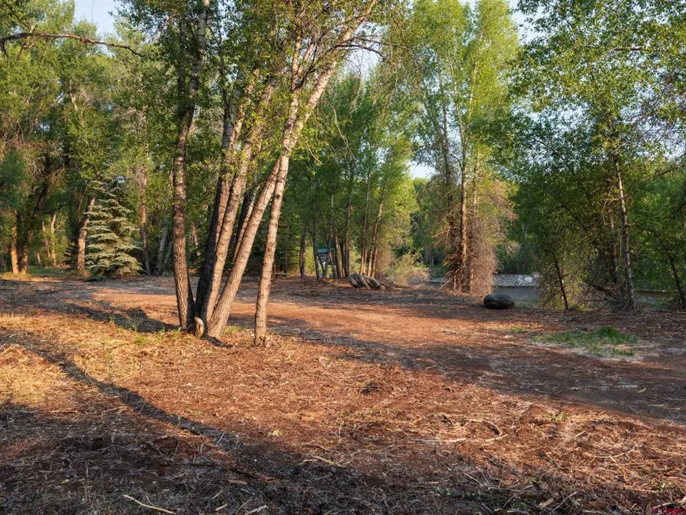 Rio Vista Road Gunnison, CO 81230
