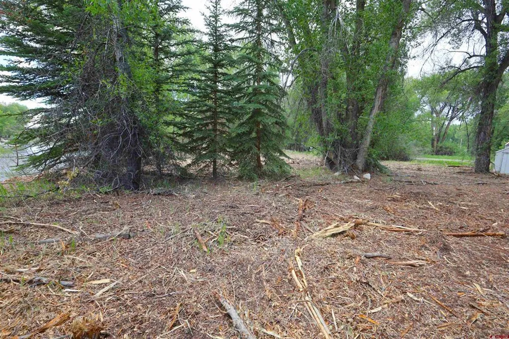 Rio Vista Road Gunnison, CO 81230