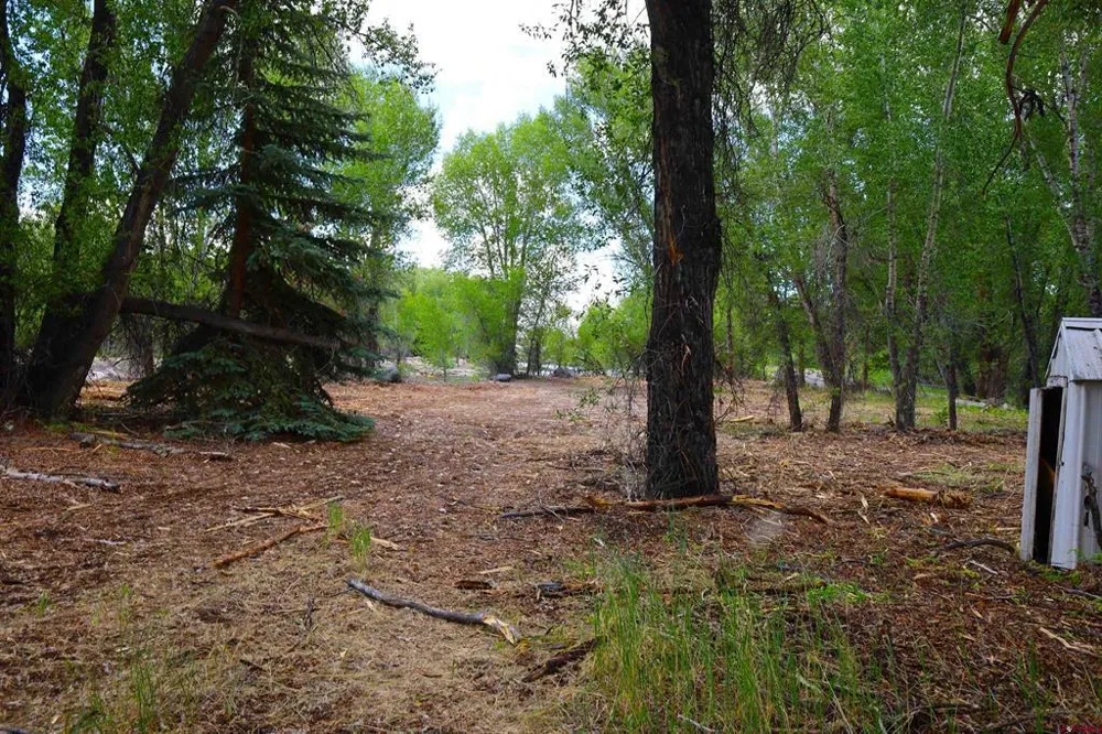 Rio Vista Road Gunnison, CO 81230