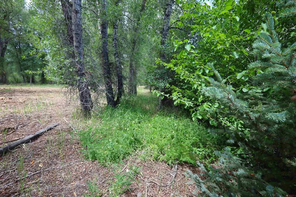 Rio Vista Road Gunnison, CO 81230