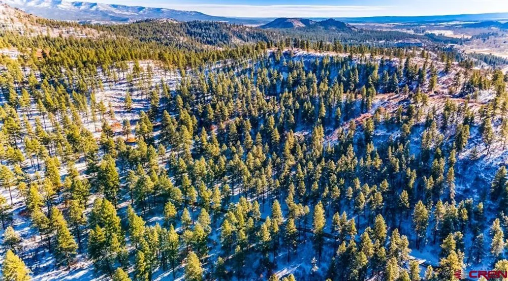 13 Beaver Creek Ranch Drive Bayfield, CO 81122
