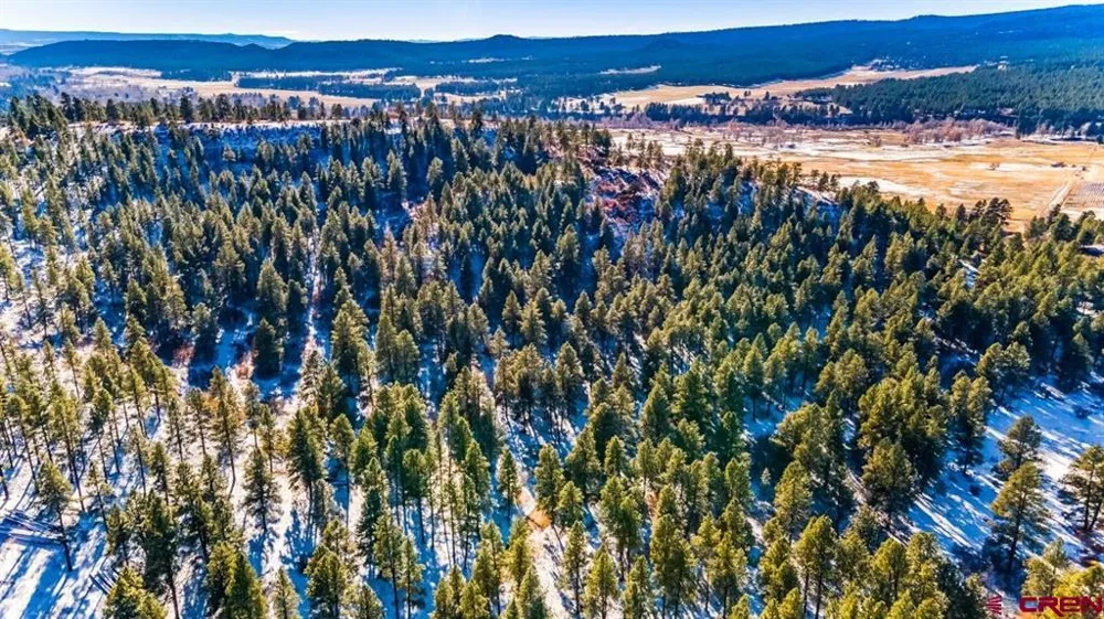 13 Beaver Creek Ranch Drive Bayfield, CO 81122