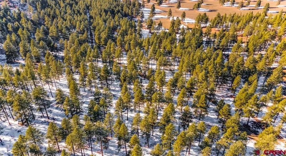 13 Beaver Creek Ranch Drive Bayfield, CO 81122