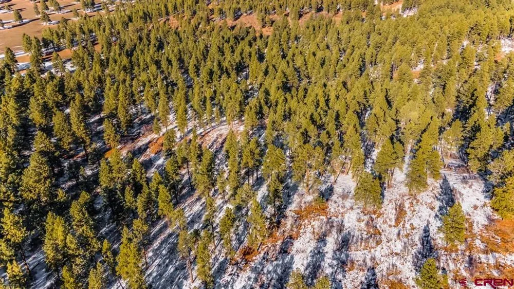 13 Beaver Creek Ranch Drive Bayfield, CO 81122
