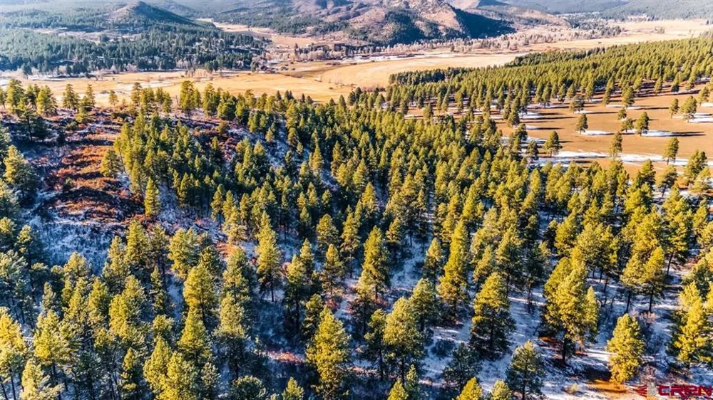 13 Beaver Creek Ranch Drive Bayfield, CO 81122