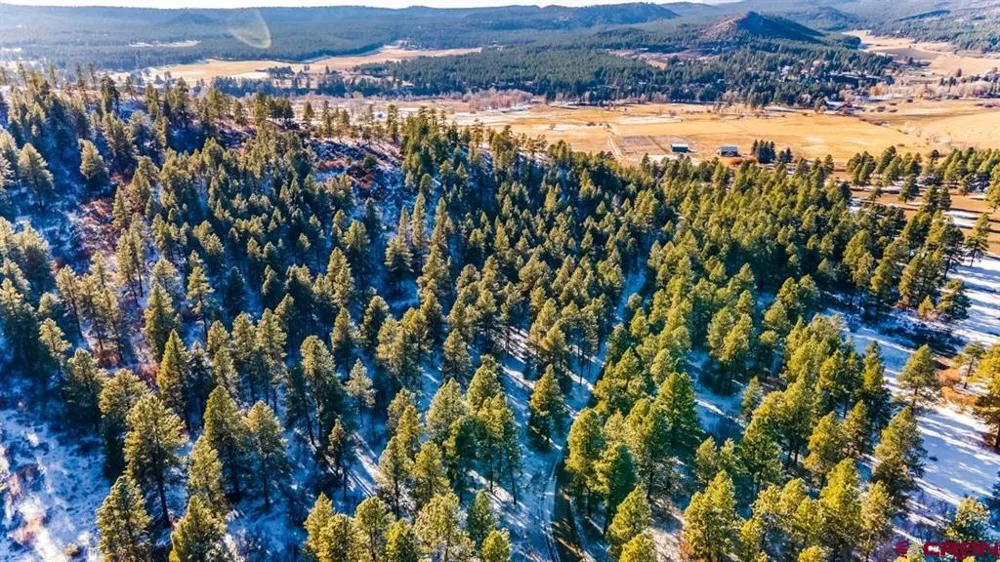13 Beaver Creek Ranch Drive Bayfield, CO 81122