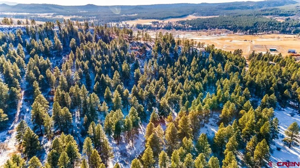 13 Beaver Creek Ranch Drive Bayfield, CO 81122