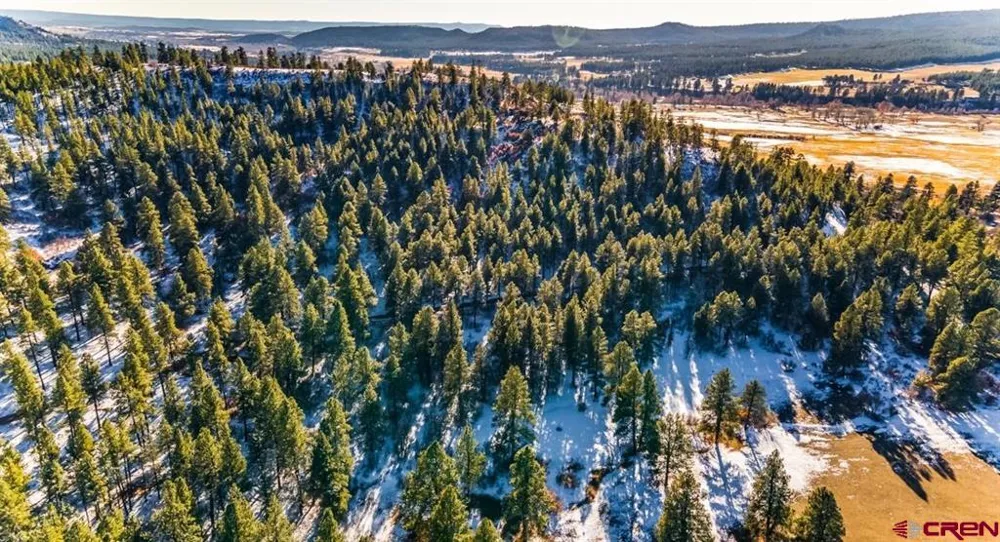 13 Beaver Creek Ranch Drive Bayfield, CO 81122
