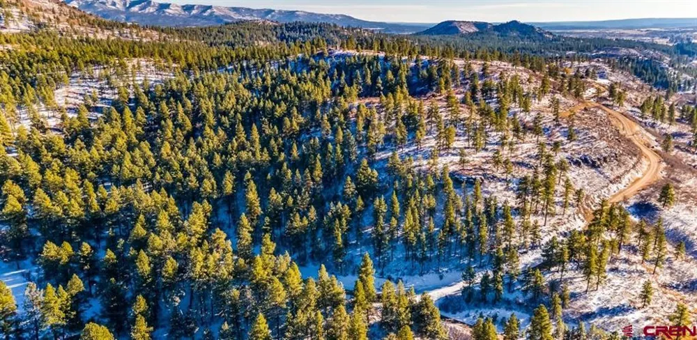 13 Beaver Creek Ranch Drive Bayfield, CO 81122