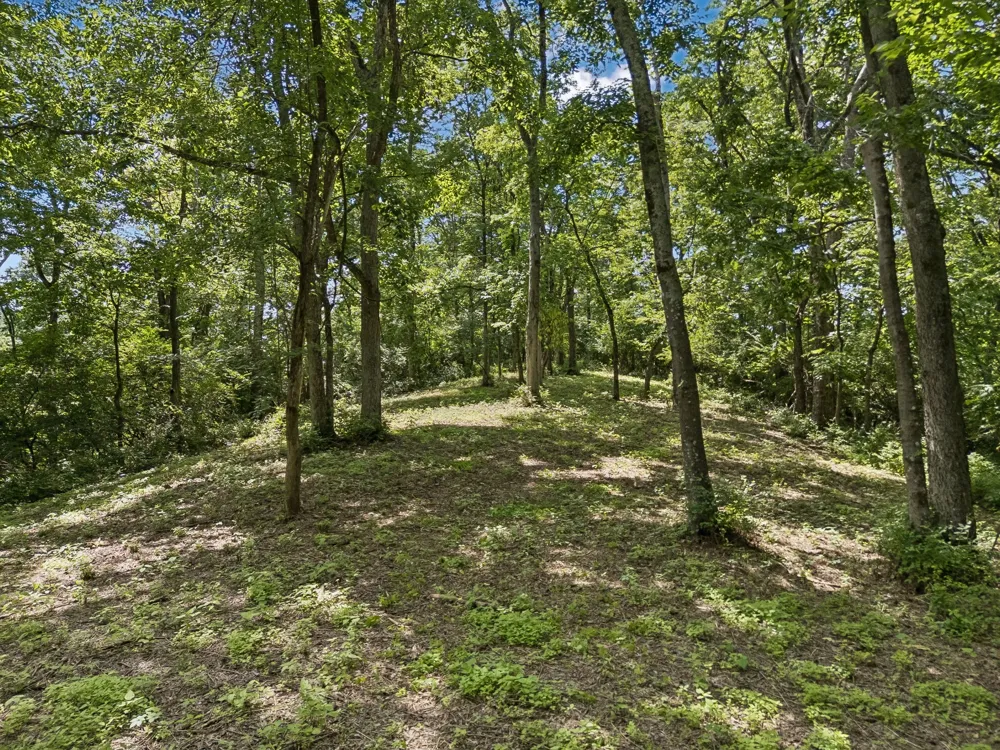 2268 N Berrys Chapel Rd Franklin, TN 37069