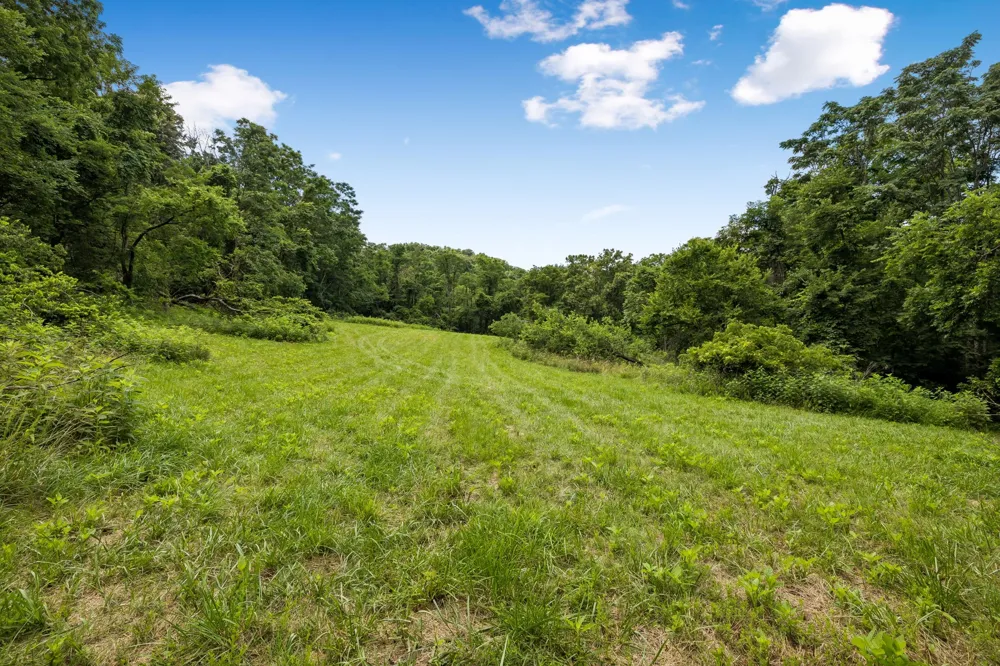 2268 N Berrys Chapel Rd Franklin, TN 37069