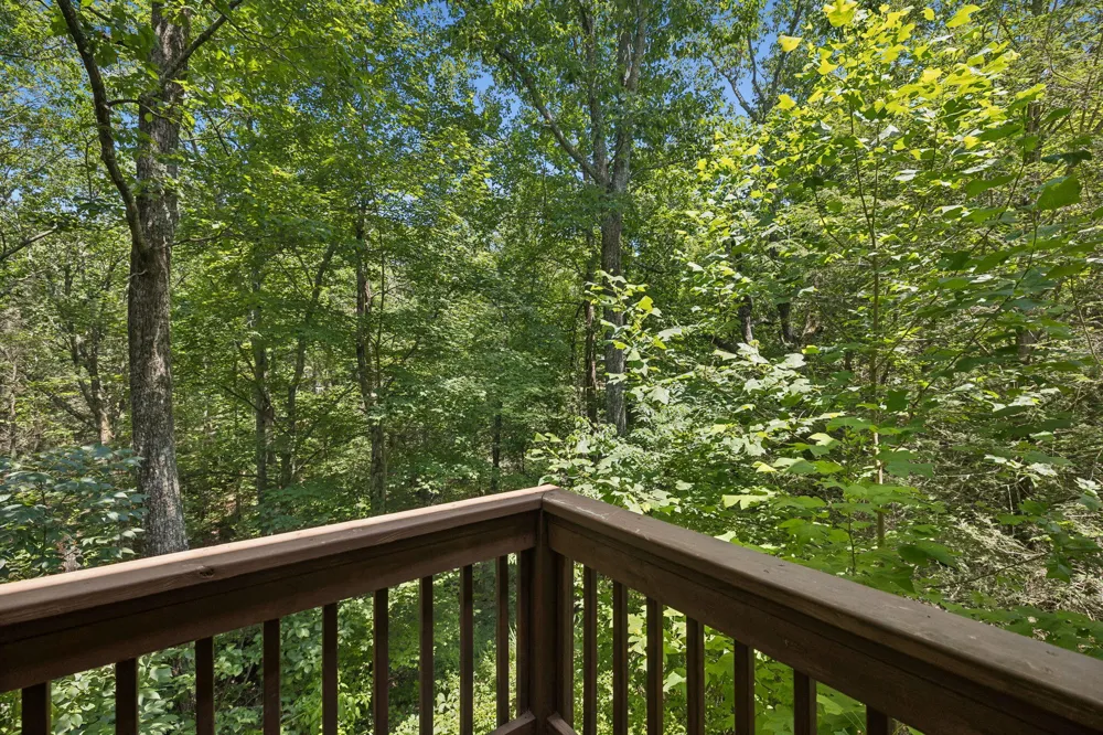 501 Palisades Drive Signal Mountain, TN 37377
