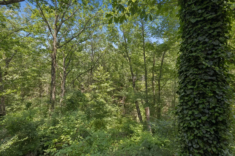 501 Palisades Drive Signal Mountain, TN 37377