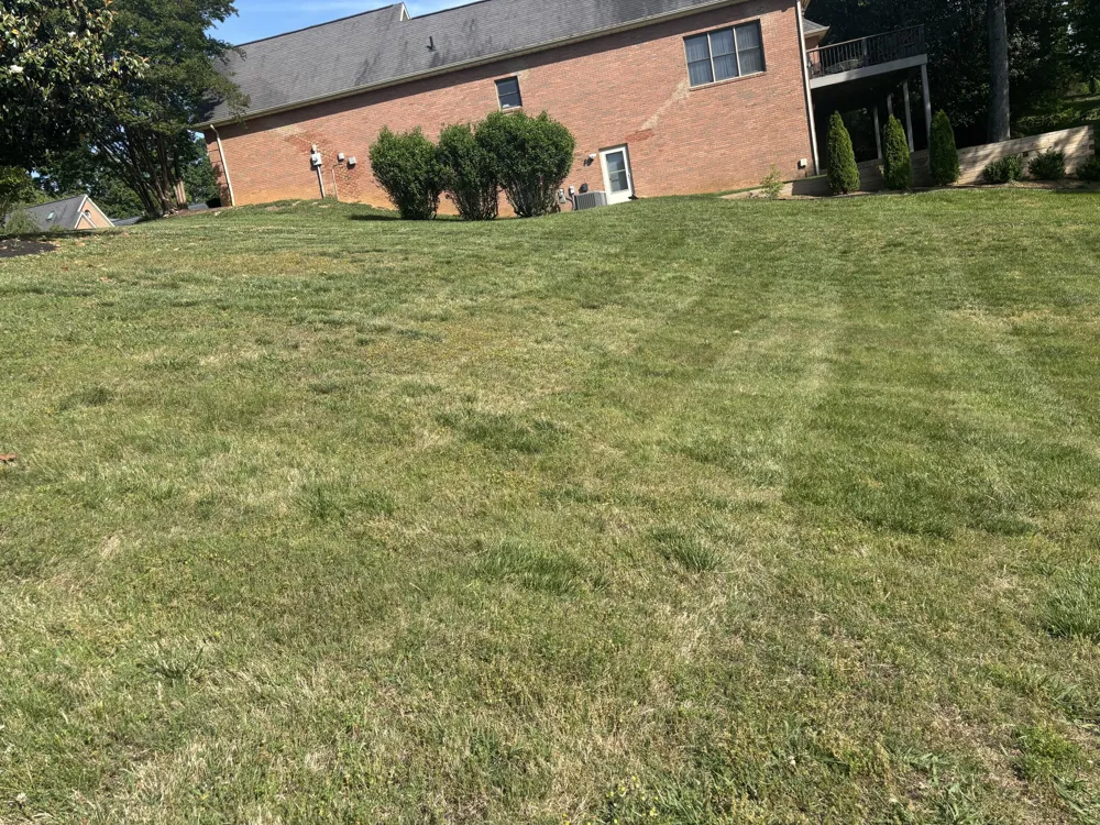 215 Valleyview Drive Lenoir City, TN 37772