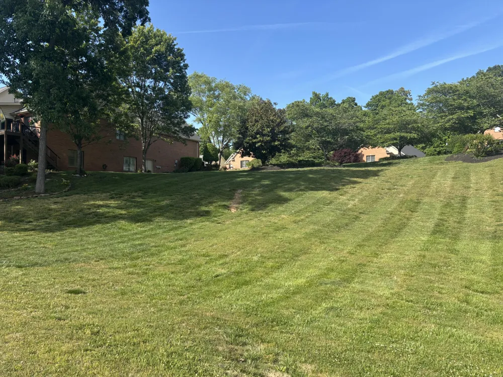 215 Valleyview Drive Lenoir City, TN 37772