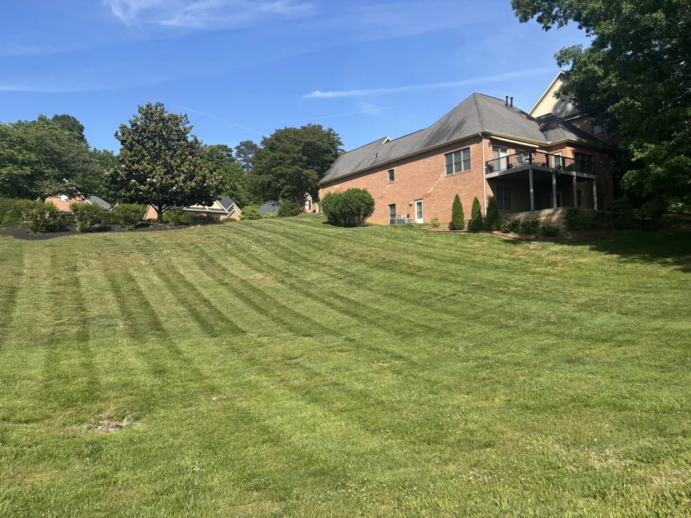 215 Valleyview Drive Lenoir City, TN 37772