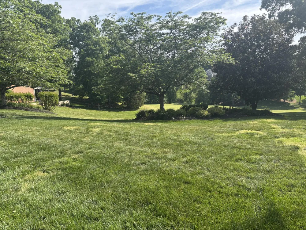 215 Valleyview Drive Lenoir City, TN 37772