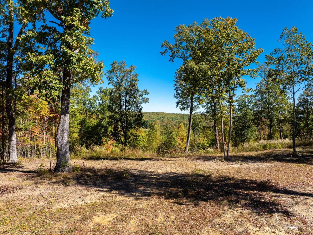 482 Coke Bowman Road Graysville, TN 37338
