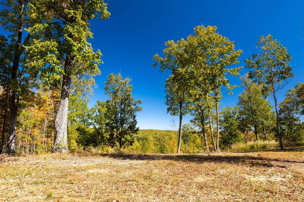 482 Coke Bowman Road Graysville, TN 37338