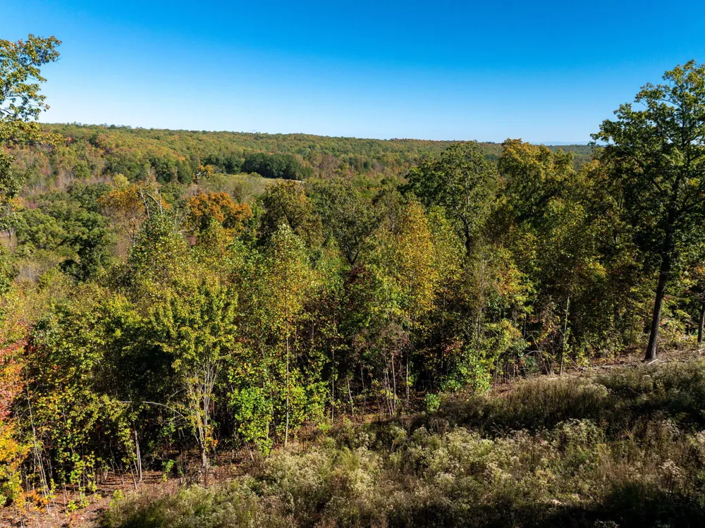 482 Coke Bowman Road Graysville, TN 37338