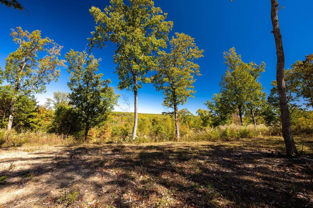 482 Coke Bowman Road Graysville, TN 37338