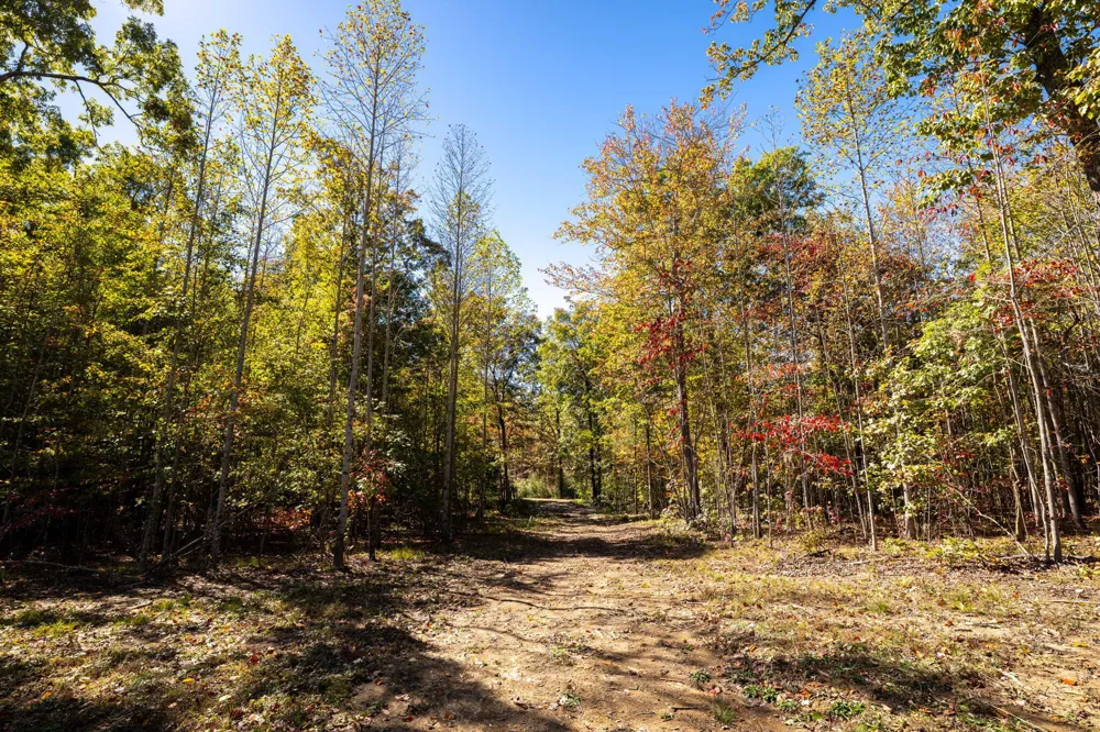 482 Coke Bowman Road Graysville, TN 37338