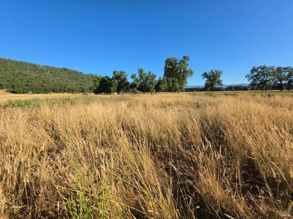 76220 Hill Road Covelo, CA 95428