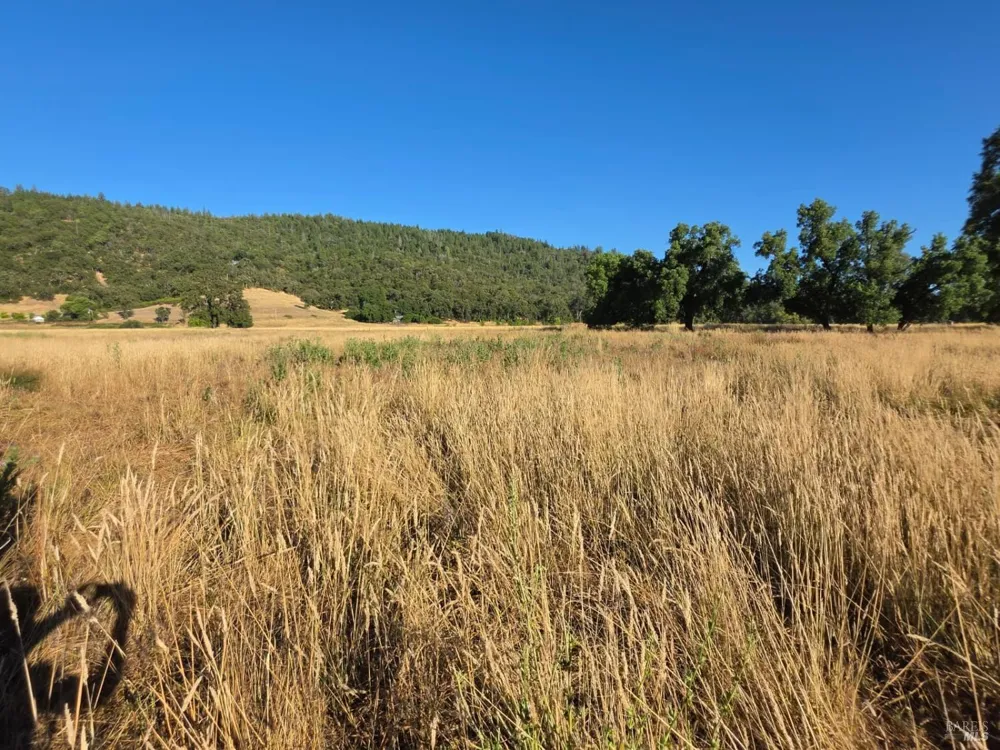76220 Hill Road Covelo, CA 95428