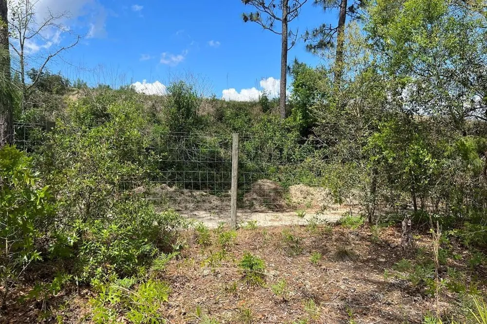 0000 LADY BUG LANE Melrose, FL 32666